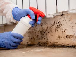 Best Commercial Mold Inspection  in Kirby, TX